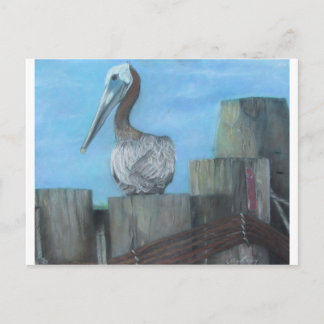 Pelican of Hatteras Ferry Briefkaart