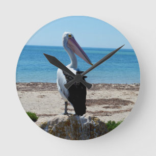 Pelican on Beach Rock Ronde Klok