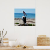 Pelican on Beach Rocks, Poster (Keuken)