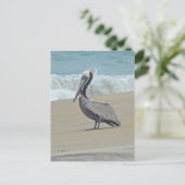 Pelican on Outer Banks OBX NC Briefkaart (Staand voorkant)