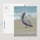 Pelican on Outer Banks OBX NC Briefkaart (Voorkant / Achterkant)