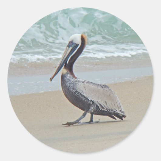 Pelican on Outer Banks OBX NC Ronde Sticker (Voorkant)