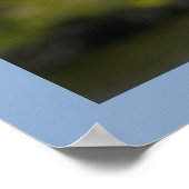 Pelican op blauw poster (Hoek)