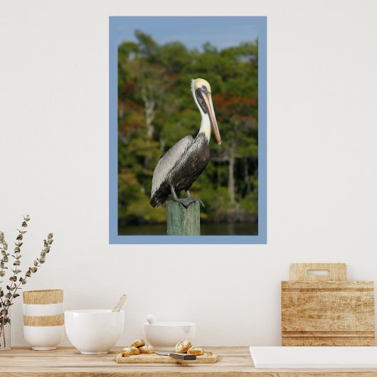Pelican op blauw poster (Keuken)