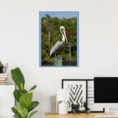 Pelican op blauw poster (Thuiskantoor)