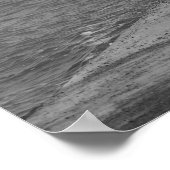 Pelican op Dock - Zwart-wit Poster (Hoek)