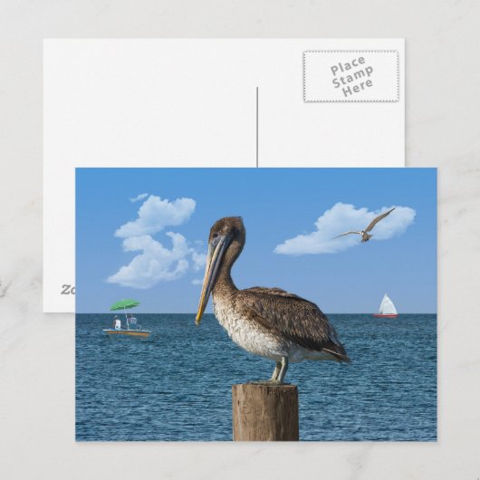 Pelican op een Briefkaart na (Voorkant / Achterkant)