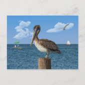 Pelican op een Briefkaart na (Voorkant)