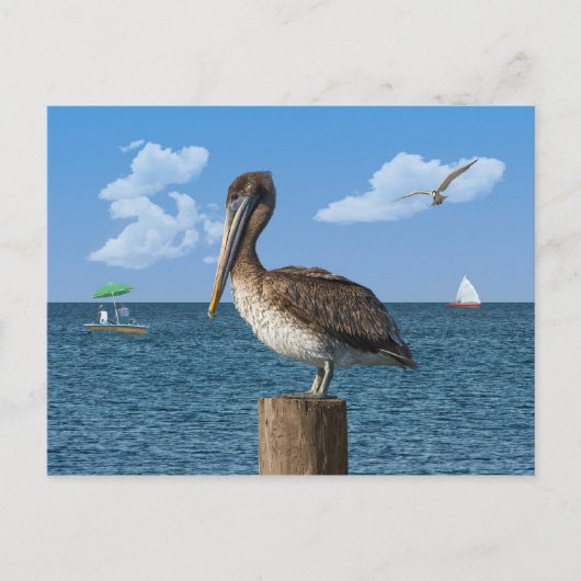 Pelican op een Briefkaart na (Voorkant)