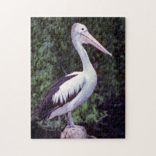 Pelican op een filiaal, Tasmania - Australië Legpuzzel