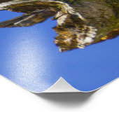 Pelican op een foto van een ledemaat afdruk (Hoek)