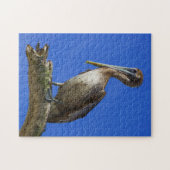 Pelican op een ledemaatpuzzel legpuzzel (Horizontaal)