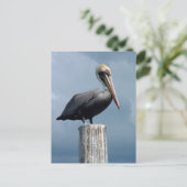 Pelican op een poil 1. briefkaart (Staand voorkant)