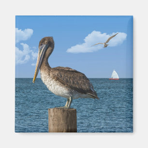 Pelican op een Post Magnet