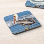 Pelican op het strand bier onderzetter (Linkerzijde)