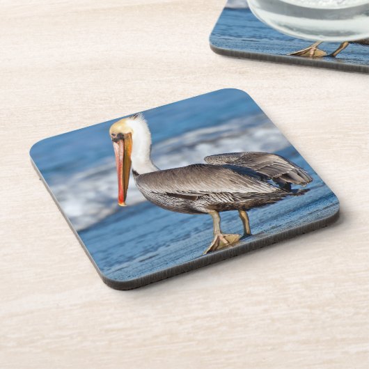 Pelican op het strand bier onderzetter (Linkerzijde)