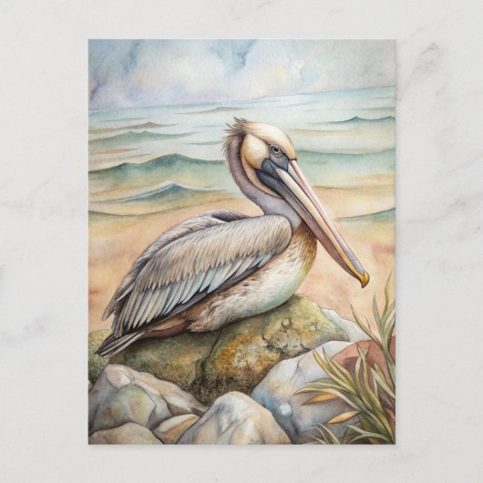 Pelican op het strand briefkaart (Voorkant)