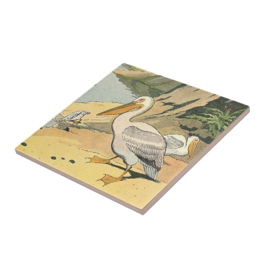 Pelican op het strand tegeltje (Zijkant)