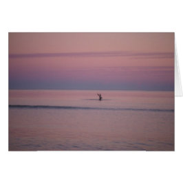 Pelican op Sunset on Sullivan's Island, SC