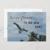 Pelican Palm Trees - Aankondiging nieuw adres (Voorkant / Achterkant)