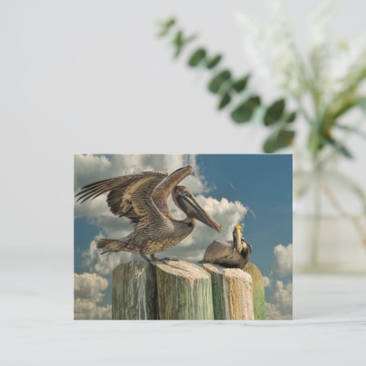 Pelican Parodies Florida Wildlife Briefkaart (Staand voorkant)
