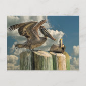 Pelican Parodies Florida Wildlife Briefkaart (Voorkant)
