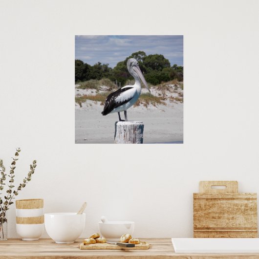 Pelican Permanent op Sandy Beach Poster (Keuken)