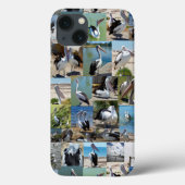 Pelican Photo Collage Case-Mate iPhone Case (Achterkant)