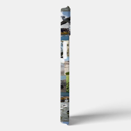 Pelican Photo Collage Case-Mate iPhone Case (Achterkant / Rechts)
