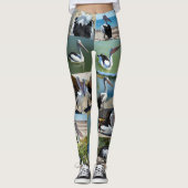 Pelican Photo Collage, Dames Leggings (Voorkant)