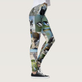 Pelican Photo Collage, Dames Leggings (Rechts)