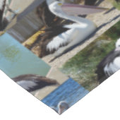 Pelican Photo Collage Tafelkleed (Gekanteld)