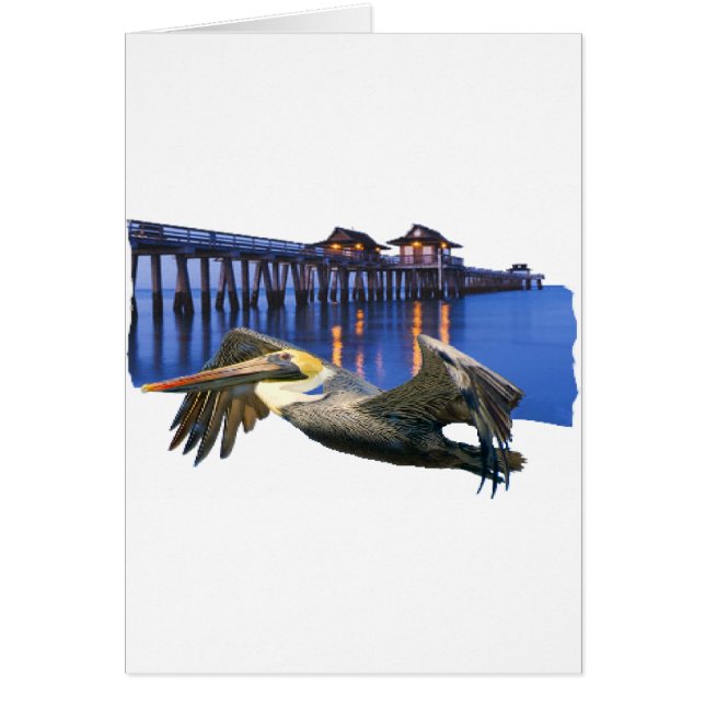 Pelican Pier (Voorkant)