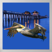 Pelican Pier Poster (Voorkant)