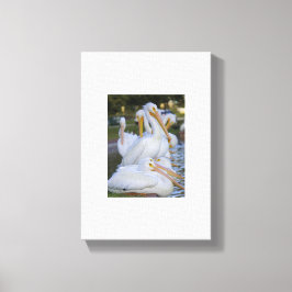 Pelican Pile Art Canvas