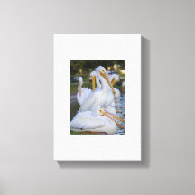 Pelican Pile Art Canvas