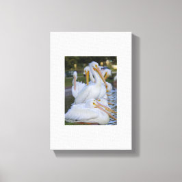 Pelican Pile Art Canvas Afdruk