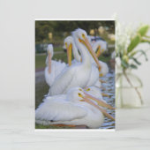 Pelican Pile Vakantie Kaart (Staand voorkant)