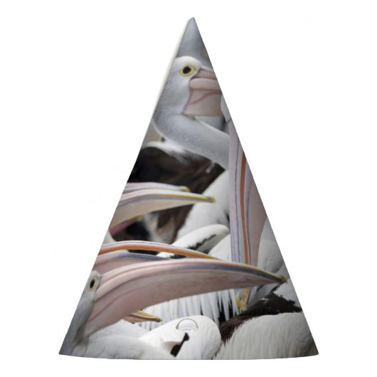 Pelican Pod Feesthoedjes (Links)