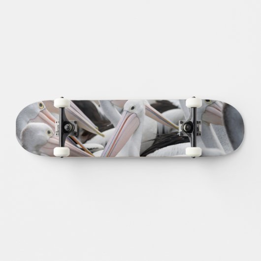 Pelican Pod Persoonlijk Skateboard (Horizontaal)