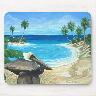 Pelican Point Muismat