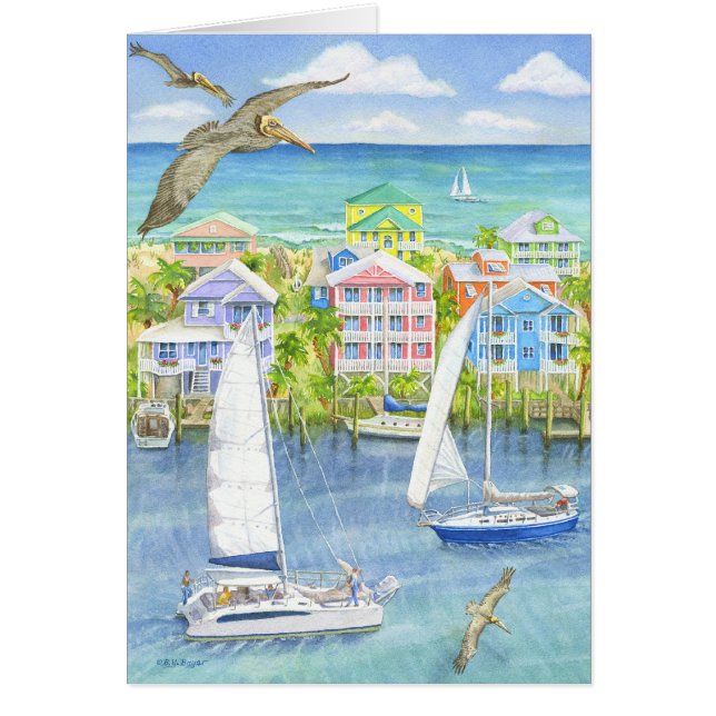 Pelican Point of Uitzicht (Voorkant)