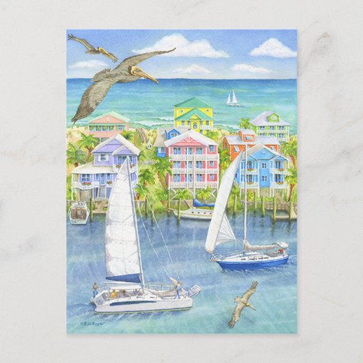 Pelican Point of Uitzicht Briefkaart (Voorkant)