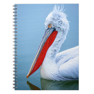 PELICAN PORTRAIT NOTITIEBOEK