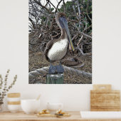 Pelican Portrait Poster (Keuken)