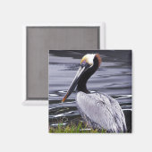 Pelican Poser Magneet (Voorkant / Achterkant)