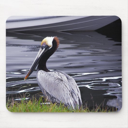 Pelican Poser Muismat (Voorkant)