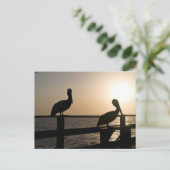 Pelican Post Card Briefkaart (Staand voorkant)
