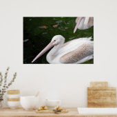 Pelican Poster (Keuken)