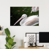 Pelican Poster (Thuiskantoor)